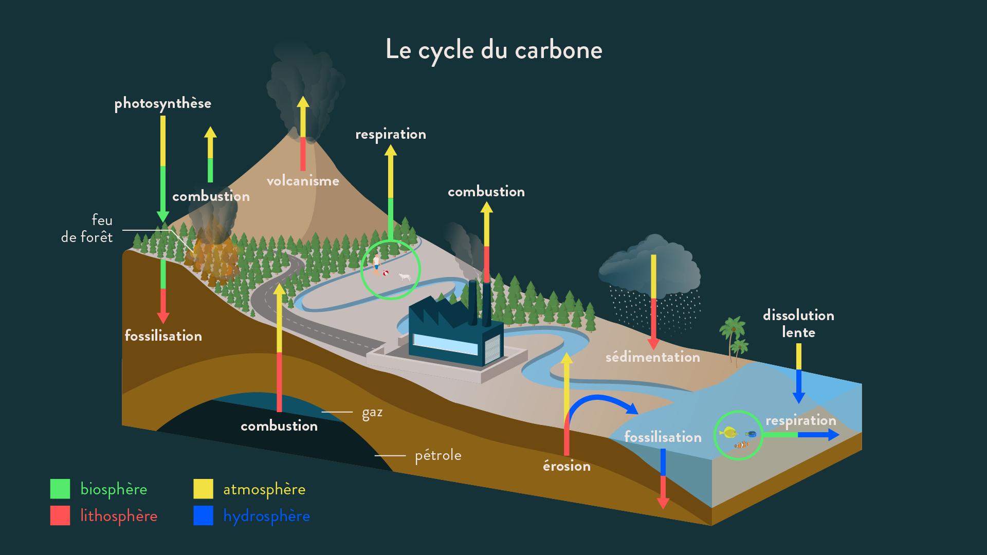 cycle-carbone-png